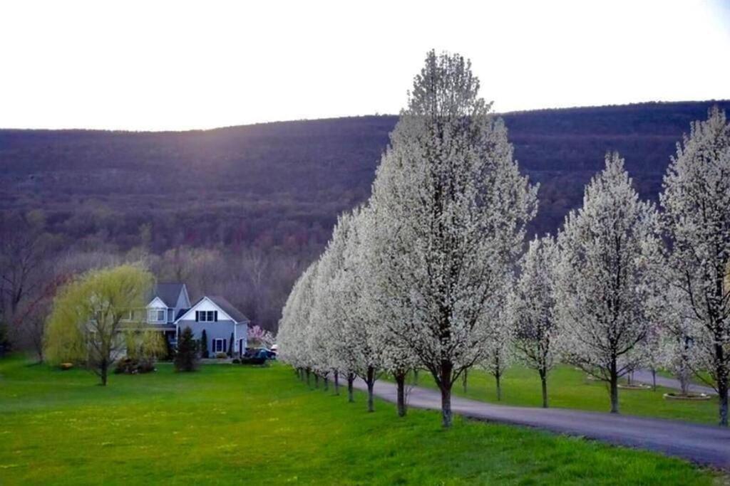 Malkita'S Mountain View Villa Woodbury  Eksteriør bilde